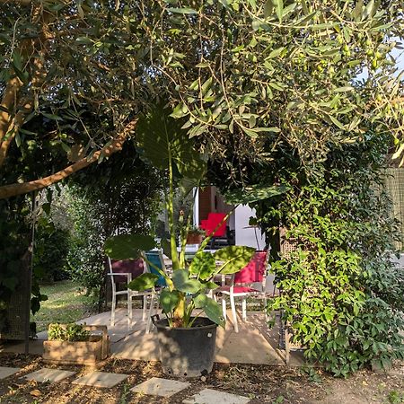 La Maison Sous L'Olivier Villa Morieres-les-Avignon Exterior foto