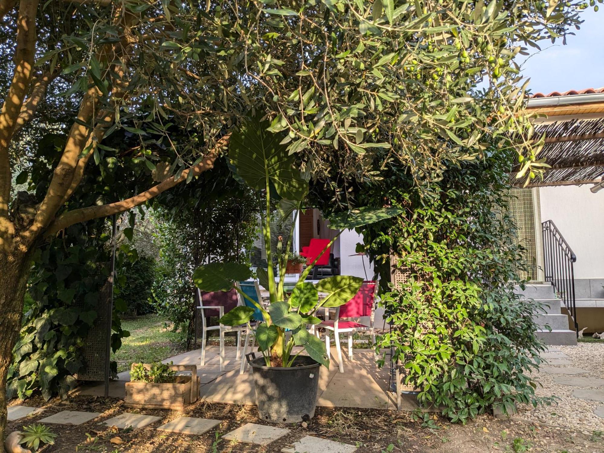 La Maison Sous L'Olivier Villa Morieres-les-Avignon Exterior foto